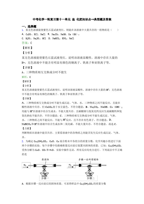 中考化学一轮复习第十一单元 盐 化肥知识点-+典型题及答案