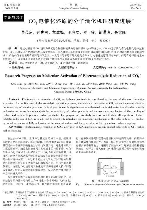 CO_(2)电催化还原的分子活化机理研究进展