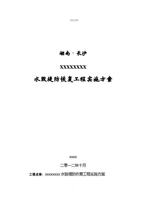 河道堤防水毁修复工程实施方案(定稿)