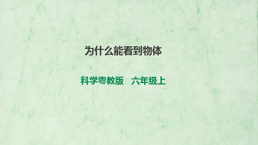 粤教版科学六上1-1《为什么能看到物体》课件