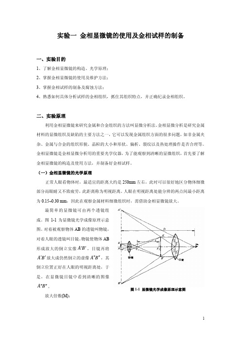 实验一 金相显微镜的使用及金相试样的制备