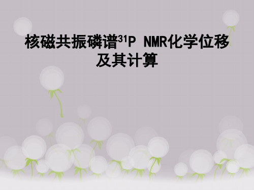 31P_NMR分析