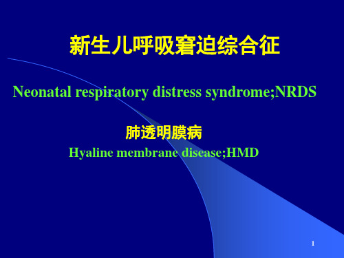 儿科学新生儿呼吸窘迫综合征