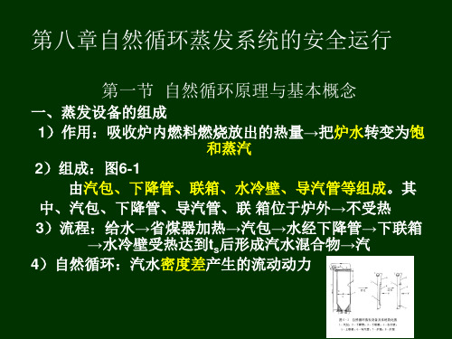 锅炉设备 第八章自然循环蒸发系统的安全运行