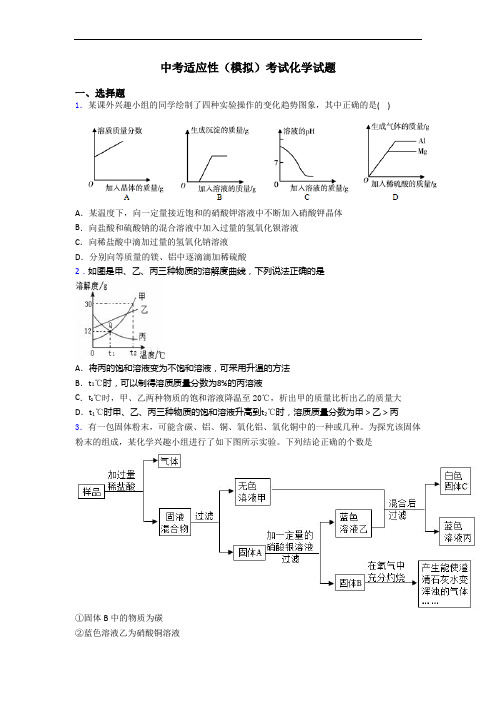 中考适应性(模拟)考试化学试题