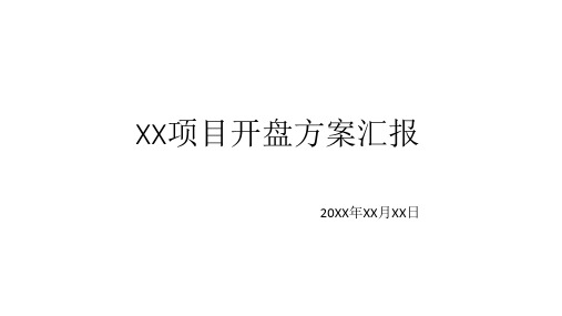 XX项目首次开盘方案汇报