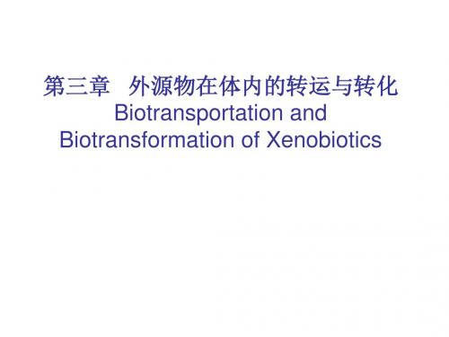 第三章外源物在体内的转运与转化食品毒理