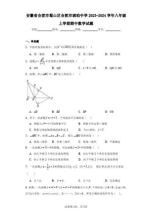 安徽省合肥市蜀山区合肥市琥珀中学2023-2024学年八年级上学期期中数学试题