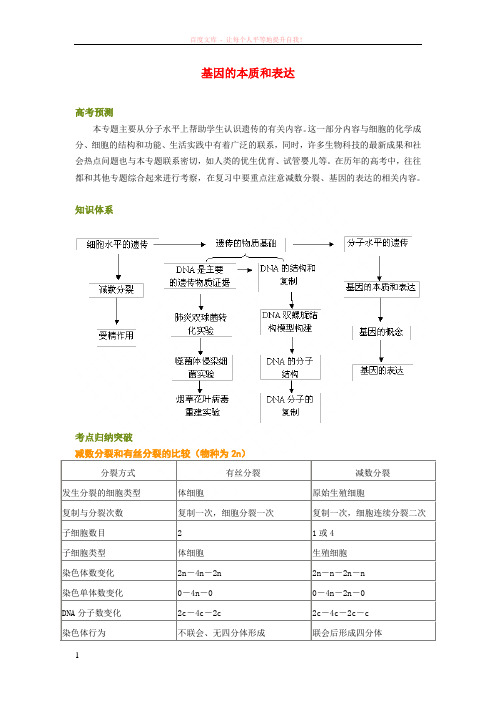 高考生物基因的本质和表达总复习 (1)