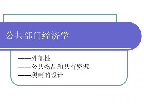 微观第十章 外部性