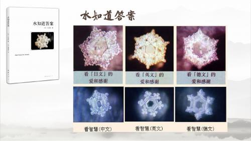 像山那样思考 课件