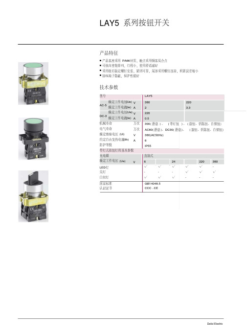 LAY5系列按钮开关