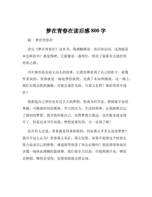 梦在青春在读后感800字