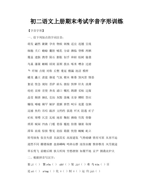 初二语文上册期末考试字音字形训练