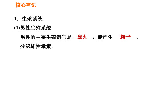 人教版七年级下册生物课件4.1.2人的生殖