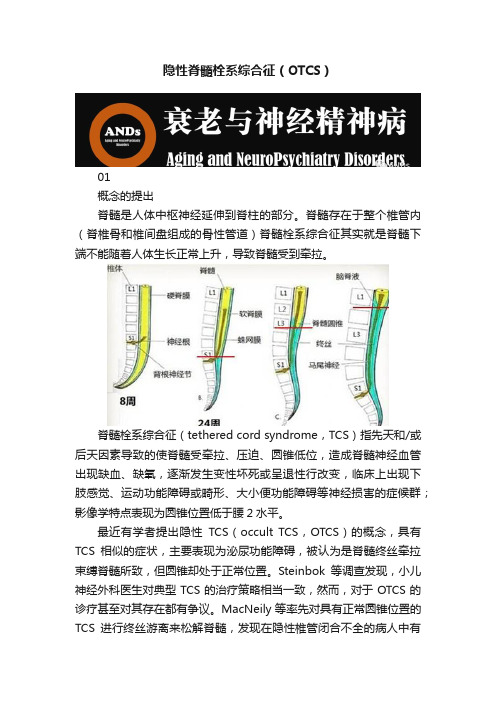 隐性脊髓栓系综合征（OTCS）