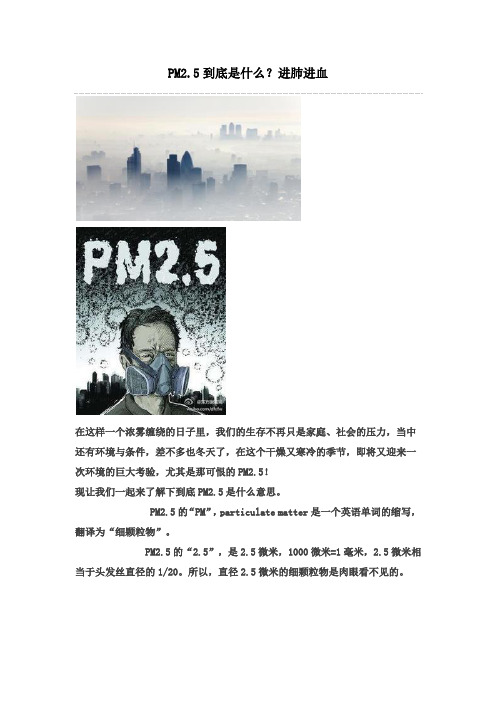 PM2.5到底是什么？进肺进血