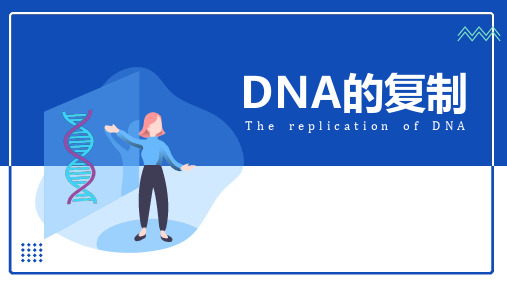 DNA的复制课件-高一生物人教版必修2