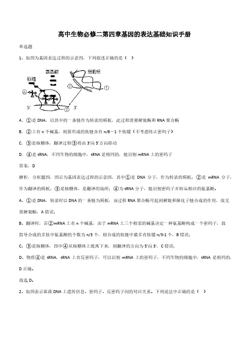 高中生物必修二第四章基因的表达基础知识手册(带答案)