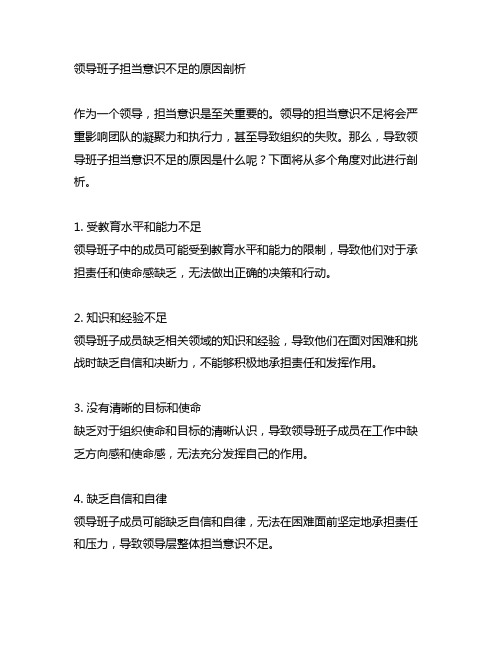 领导班子担当意识不足的原因剖析材料