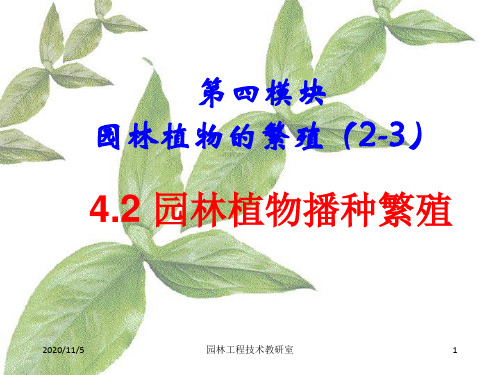 [农学]42园林植物播种繁殖