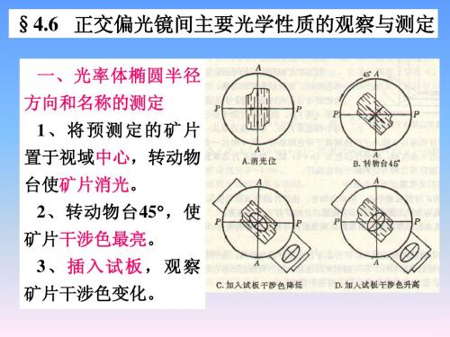 4正交偏光镜下晶体的光学性质