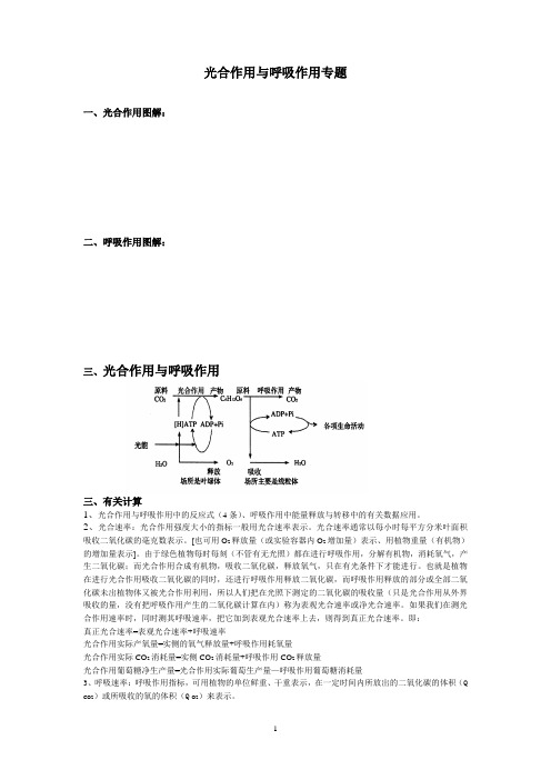 光合作用与呼吸作用专题