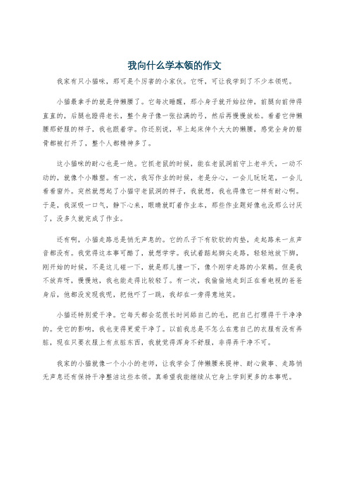 我向什么学本领的作文