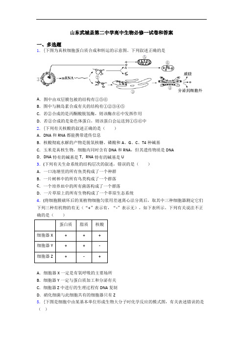 山东武城县第二中学高中生物必修一试卷和答案