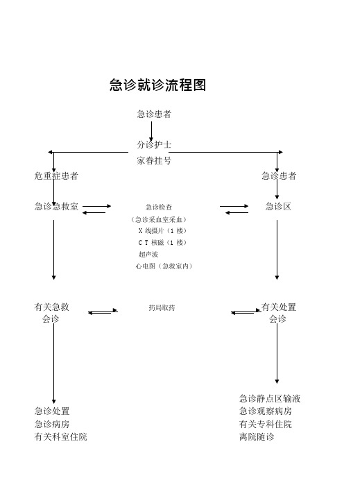 急诊就诊流程图doc