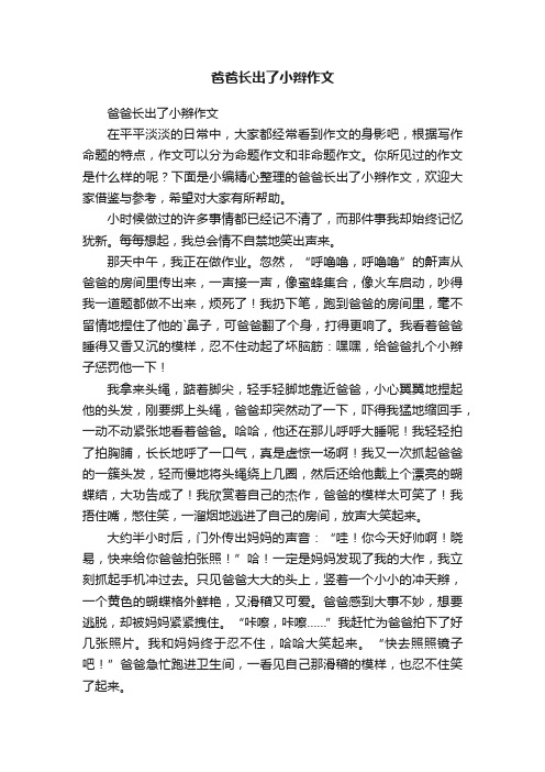 爸爸长出了小辫作文