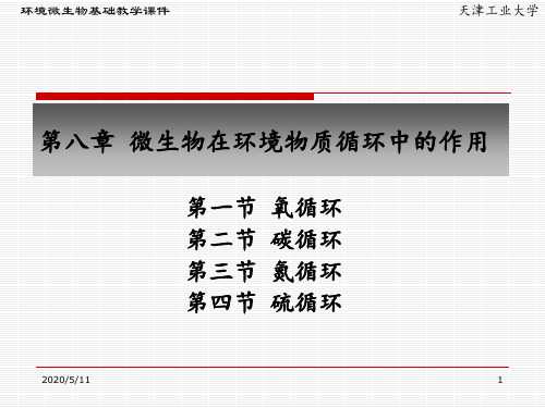 微生物第八章微生物在环境物质循环中的作用