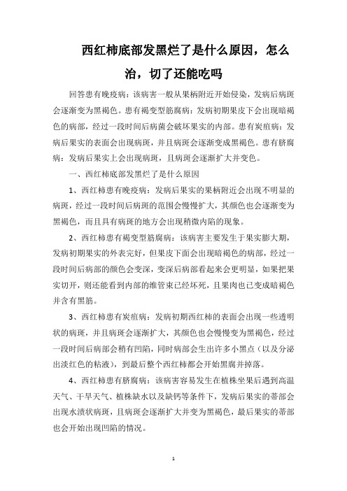 西红柿底部发黑烂了是什么原因,怎么治,切了还能吃吗