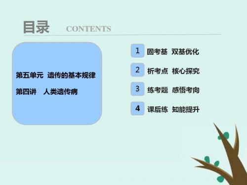 高考生物一轮复习课件第五单元 第四讲 人类遗传病