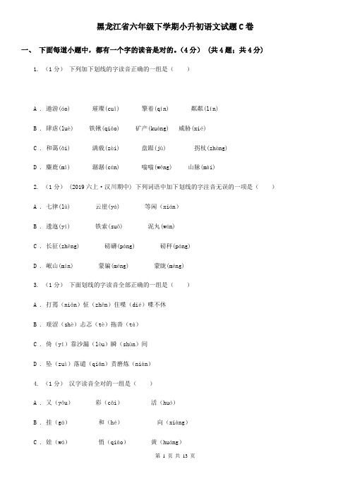 黑龙江省六年级下学期小升初语文试题C卷