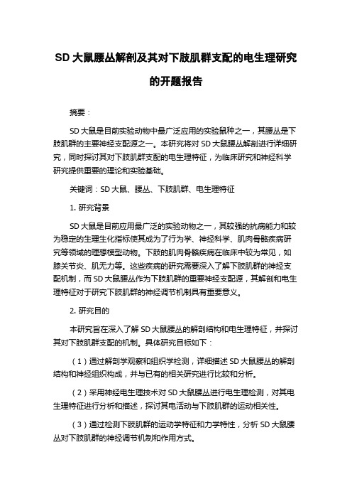 SD大鼠腰丛解剖及其对下肢肌群支配的电生理研究的开题报告