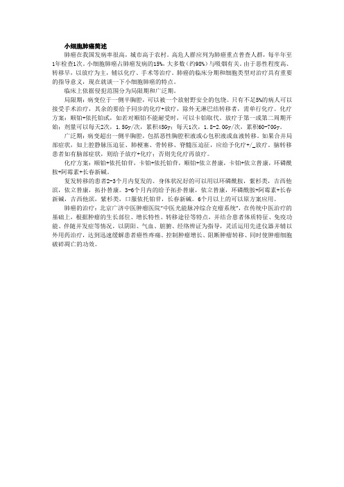 小细胞肺癌简述