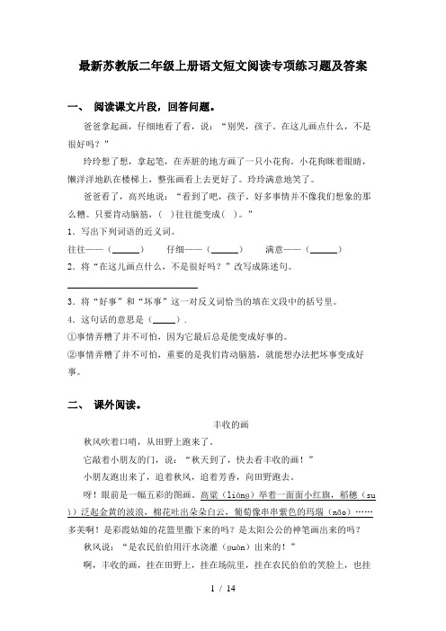 最新苏教版二年级上册语文短文阅读专项练习题及答案