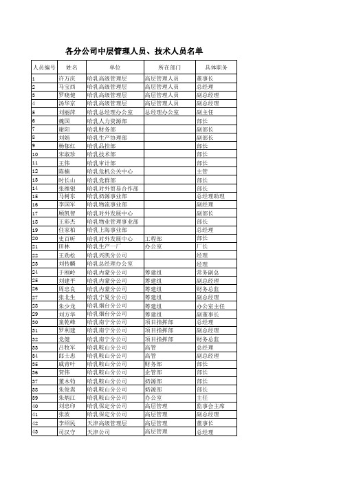 各分公司中层以上名单