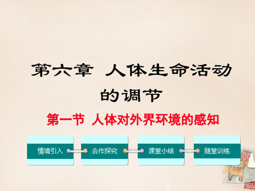 初中生物  人体对外界环境的感知26 人教版精品课件