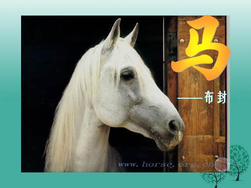 七年级语文下册 马课件 新人教版