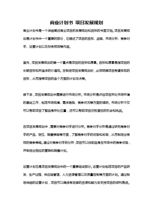 商业计划书 项目发展规划