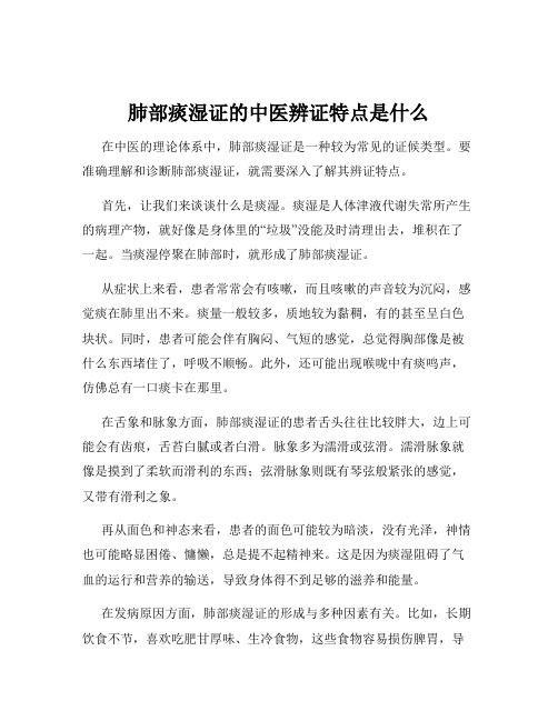 肺部痰湿证的中医辨证特点是什么