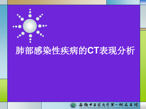 肺部感染性疾病的CT表现分析PPT