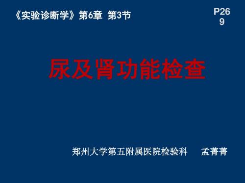 尿液及肾功能检查ppt课件