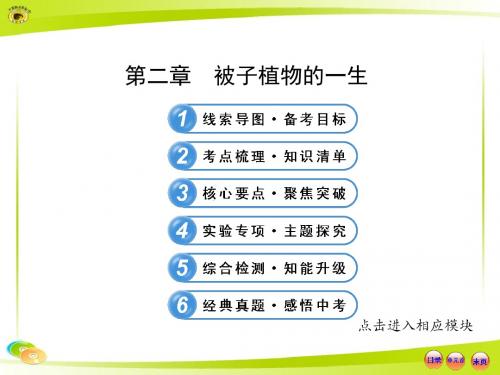 人教版初中生物中考复习第三单元第二章被子植物的一生