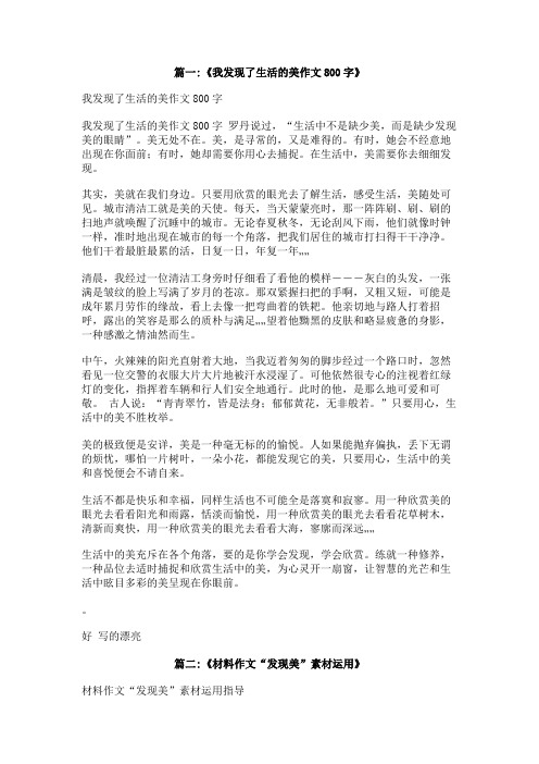 关于发现美的800字相关作文