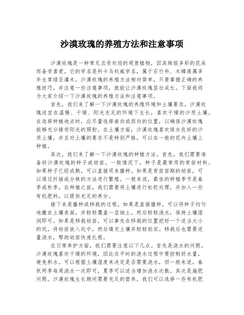 沙漠玫瑰的养殖方法和注意事项