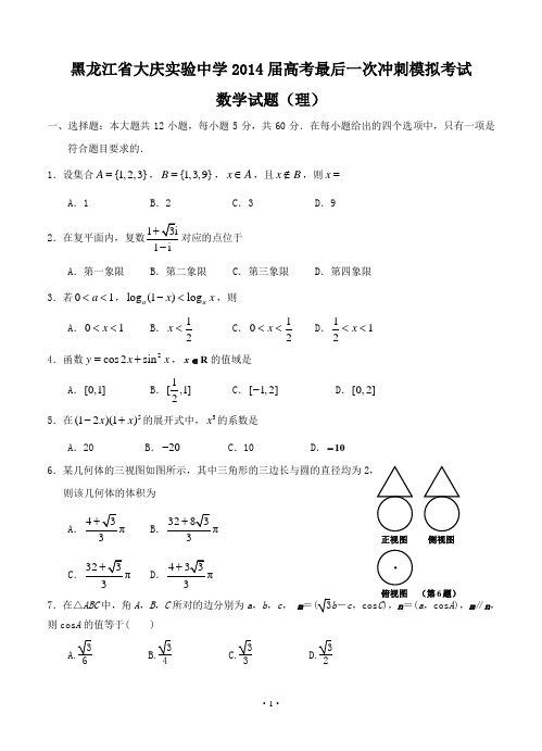 黑龙江省大庆实验中学2014届高考最后一次冲刺模拟考试数学试题 理