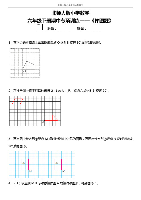 六年级下册数学 专项训练《作图题》  北师大版 